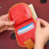 14 of 28:LUIGI ARC WALLET
