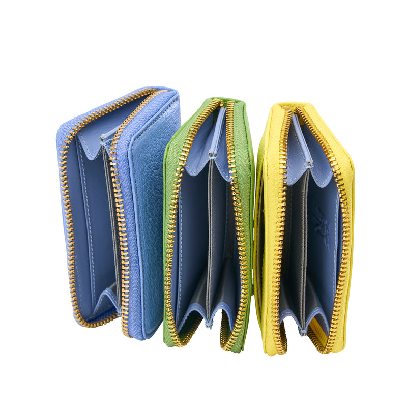 SUGAR COIN AND CARD CASE