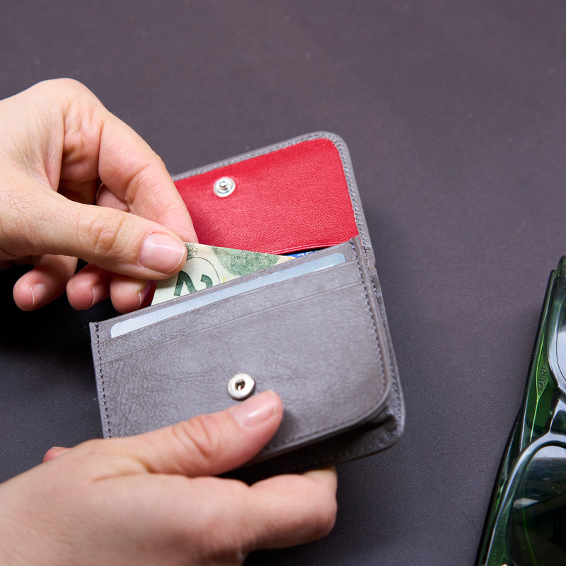 JEN FLAPOVER COIN CASE