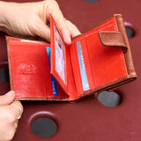 5 of 19:LUIGI INDEXER WALLET