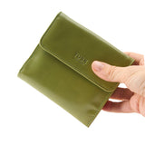 31 of 44:LUIGI INDEXER WALLET