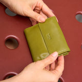 34 of 44:LUIGI INDEXER WALLET