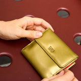 41 of 44:LUIGI INDEXER WALLET