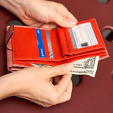 29 of 44:LUIGI INDEXER WALLET
