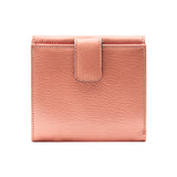 25 of 44:LUIGI INDEXER WALLET