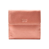 22 of 44:LUIGI INDEXER WALLET