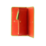 12 of 55:LUIGI SNAP WALLET