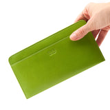 2 of 55:LUIGI SNAP WALLET
