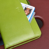 6 of 55:LUIGI SNAP WALLET