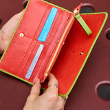 8 of 55:LUIGI SNAP WALLET
