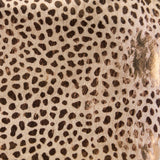 21 of 29:Close-up of a fabric with a leopard print pattern on a beige background