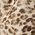 MINI LEOPARD PRINT