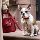 6 of 7:tusk 003 madison leather dog collar water red model 02 - RED