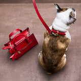 7 of 7:tusk 003 madison leather dog collar water red model 03 - RED