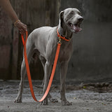 5 of 7:tusk 004 madison leather dog leash orange model 01 - ORANGE