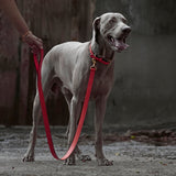 3 of 7:tusk 004 madison leather dog leash red model 01 - RED