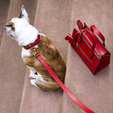 4 of 7:tusk 004 madison leather dog leash red model 02 - RED