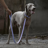 1 of 7:tusk 004 madison leather dog leash water blue model 01 - WATER BLUE