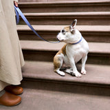 2 of 7:tusk 004 madison leather dog leash water blue model 02 - WATER BLUE
